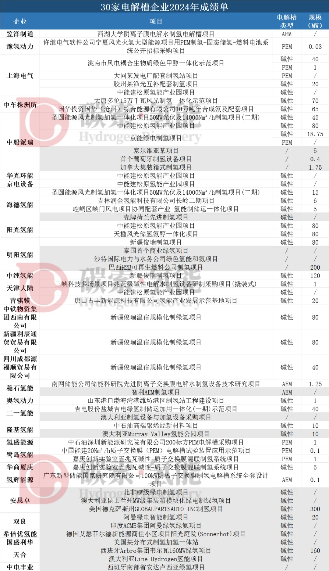 30家电解槽企业“2024年成绩单”（表） 